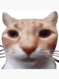 This is the Best Post